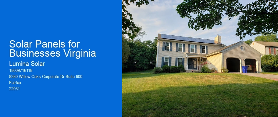 Solar Panels for Businesses Virginia